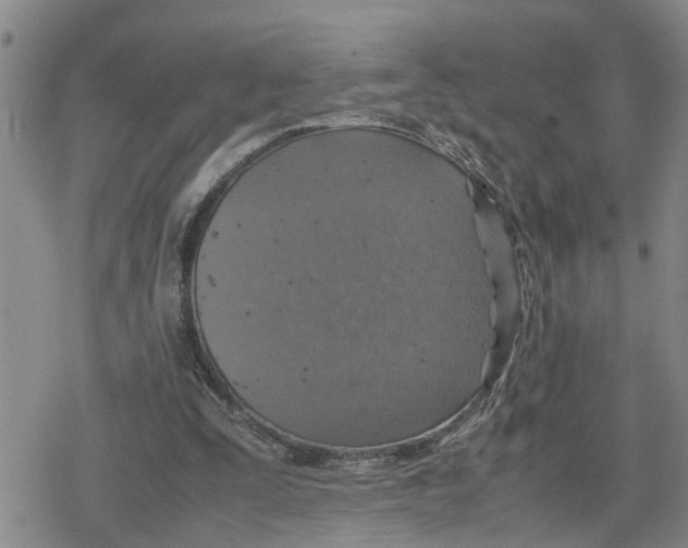 X0000079300295200612151734