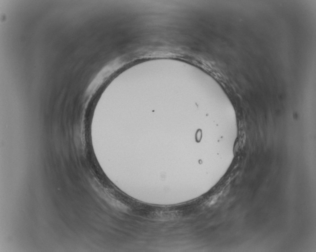 X0000079300296200612151734