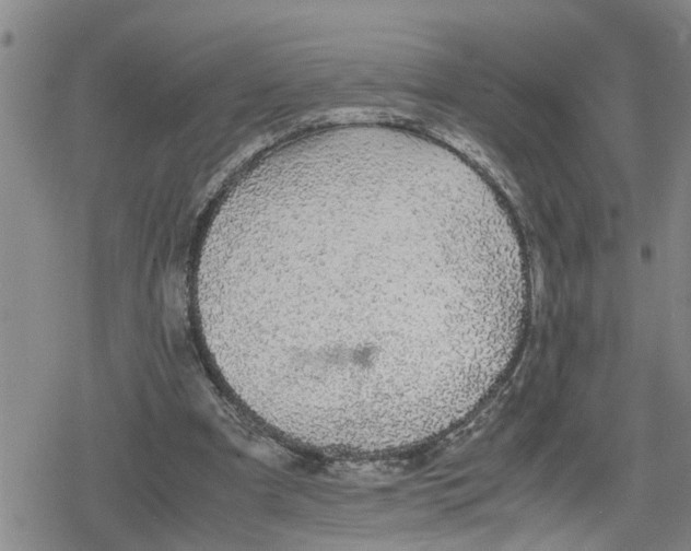 X0000079300297200612151734