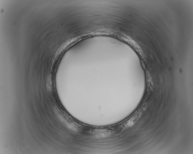 X0000079300298200612151734