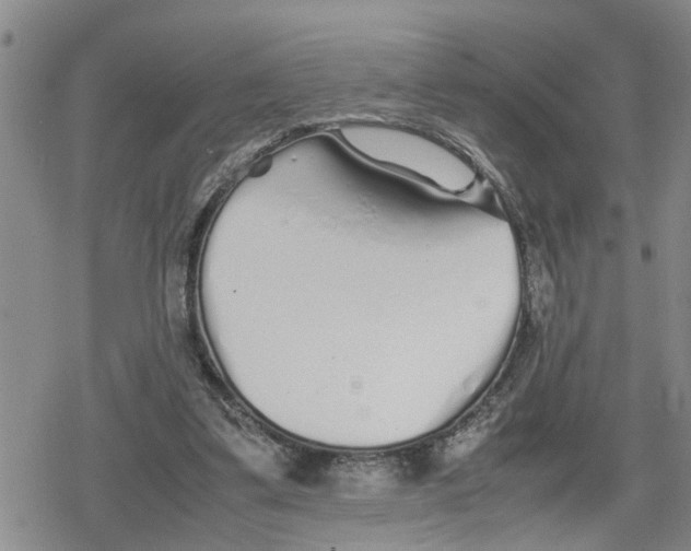 X0000079300299200612151734