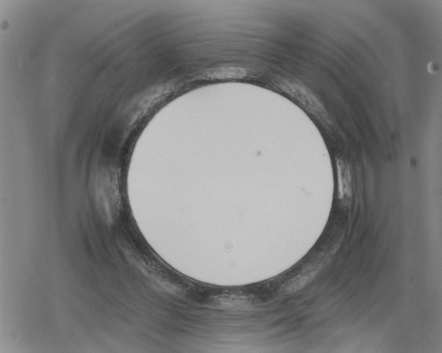 X0000079300300200612151734