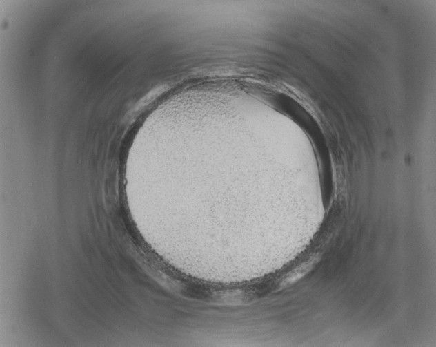 X0000079300301200612151734