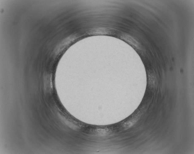 X0000079300302200612151734