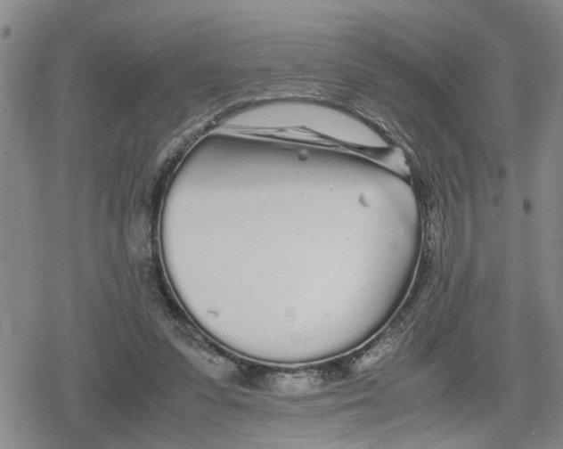 X0000079300303200612151734