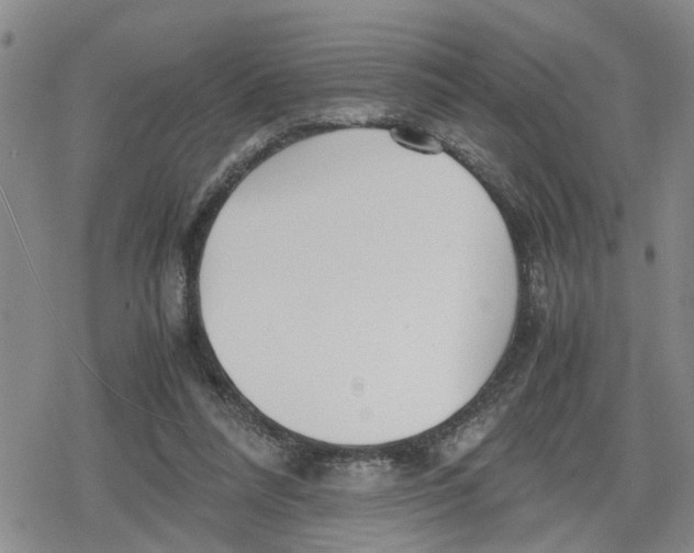 X0000079300304200612151734