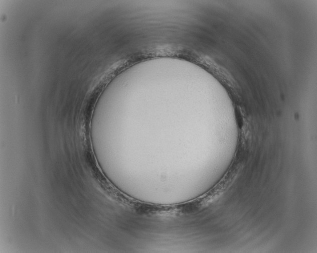 X0000079300306200612151734