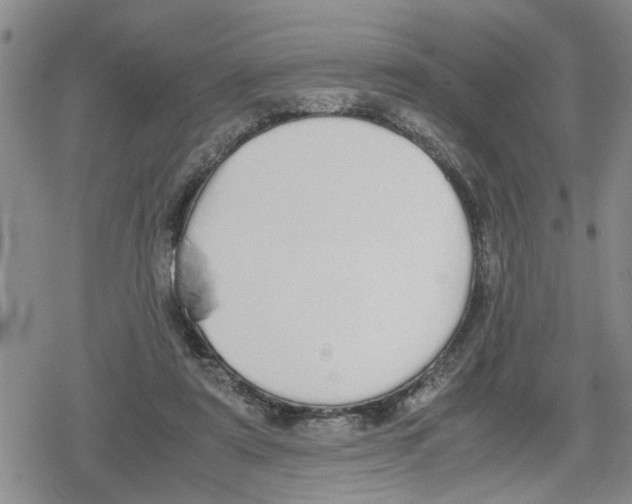 X0000079300307200612151734