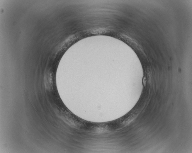 X0000079300308200612151734