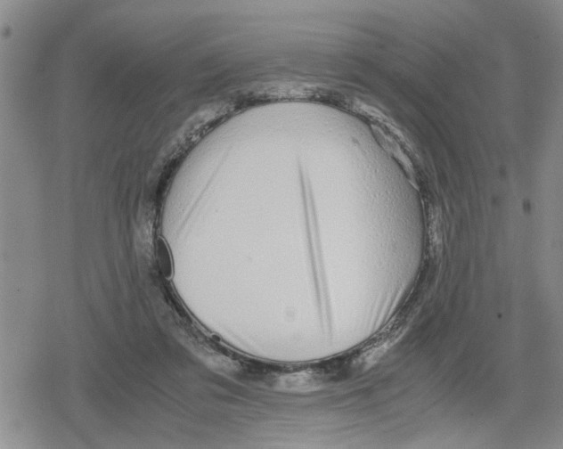 X0000079300309200612151734