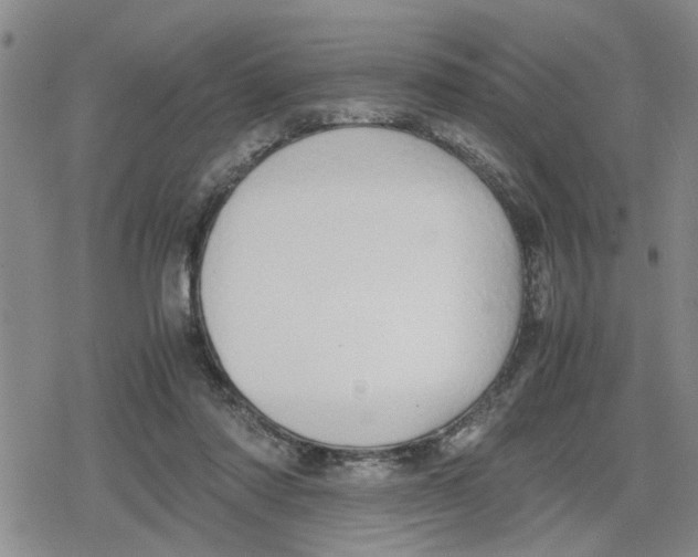 X0000079300310200612151734