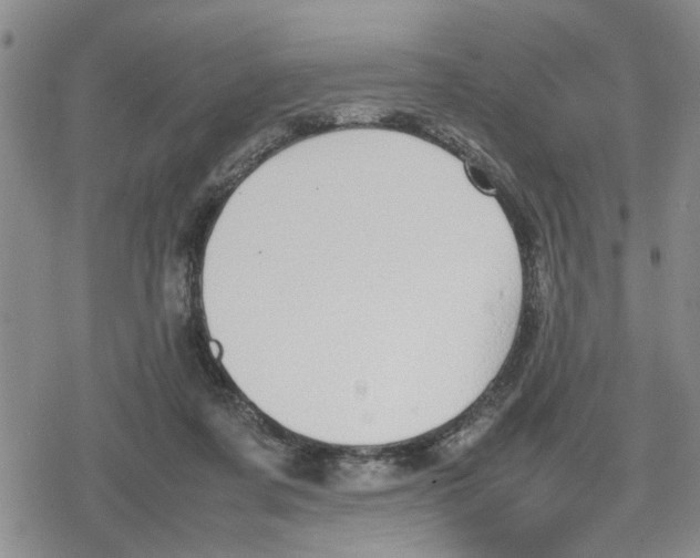 X0000079300311200612151734