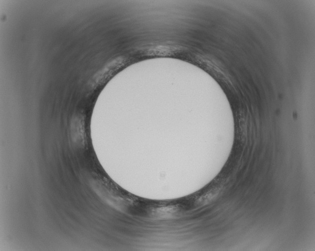 X0000079300312200612151734