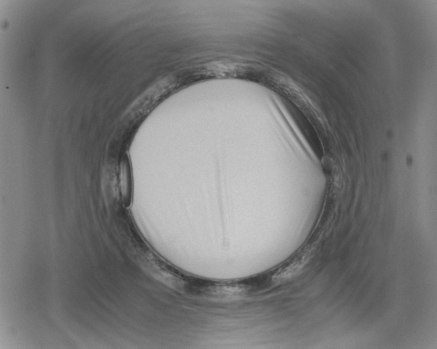 X0000079300313200612151734