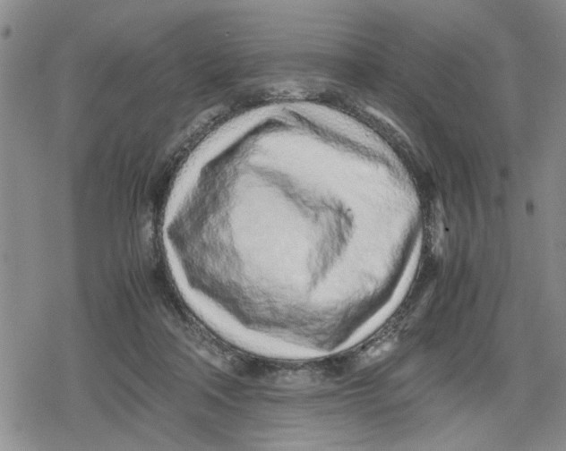 X0000079300314200612151734