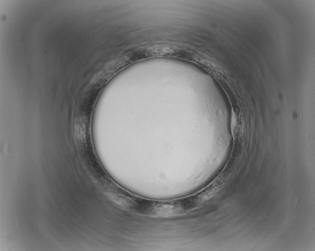 X0000079300315200612151734