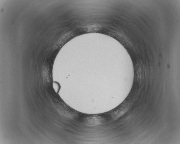 X0000079300316200612151734