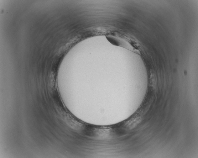 X0000079300318200612151733