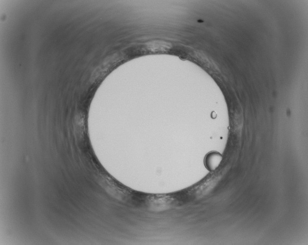 X0000079300321200612151733