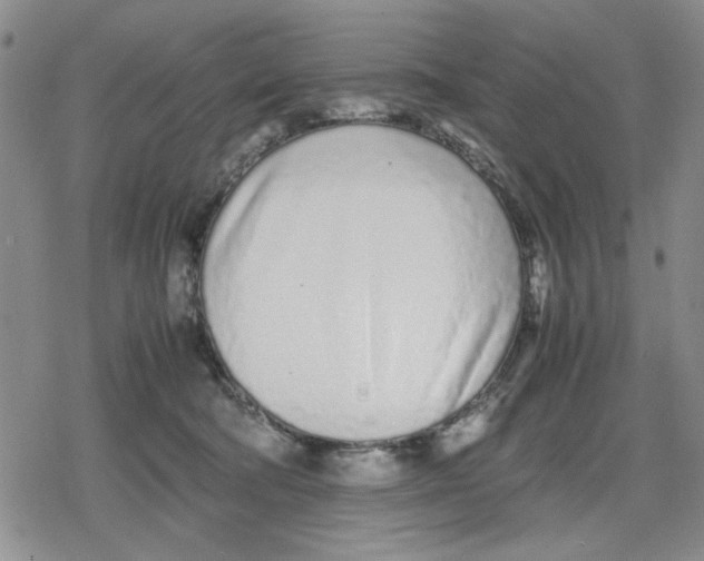X0000079300322200612151733