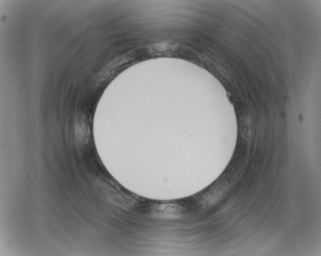 X0000079300324200612151733