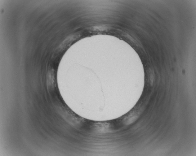 X0000079300328200612151733