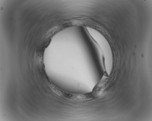 X0000079300329200612151733