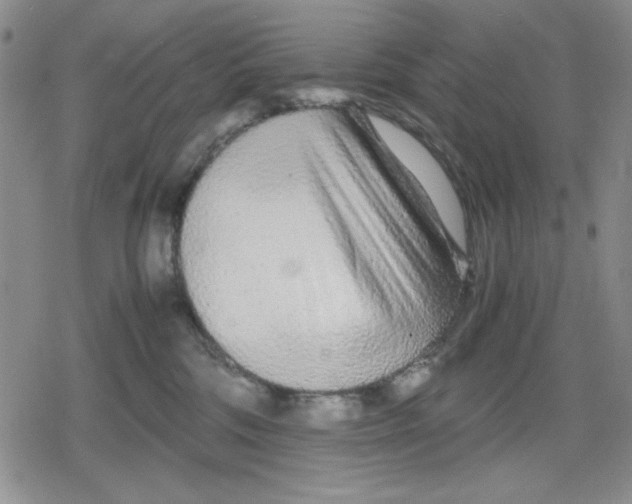 X0000079300330200612151733