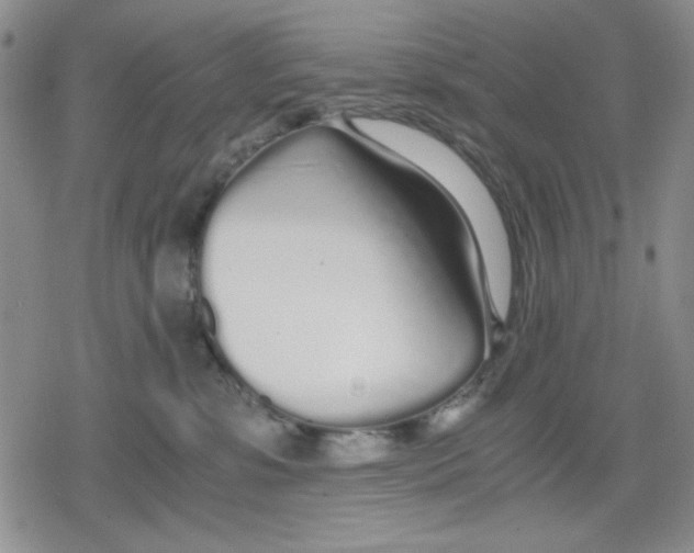 X0000079300331200612151733