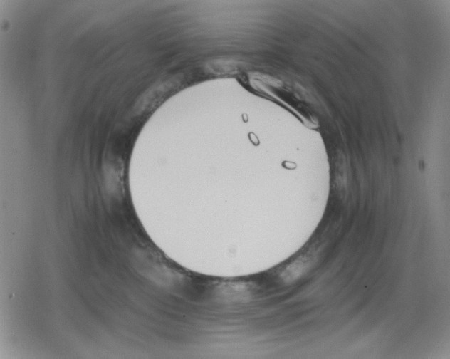 X0000079300332200612151733