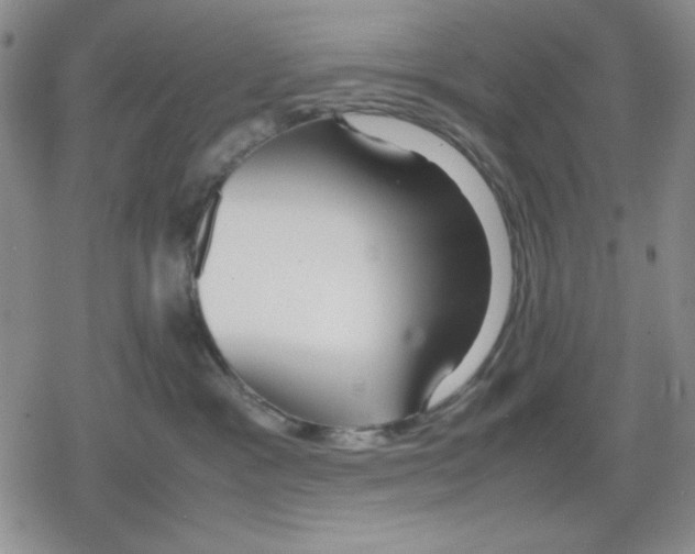 X0000079300333200612151733