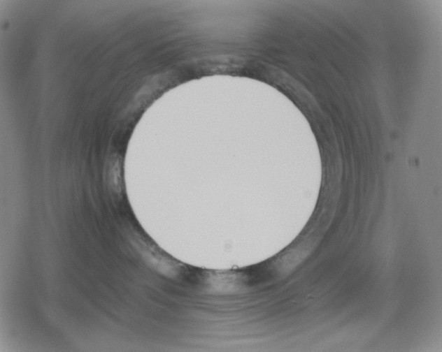 X0000079300336200612151733