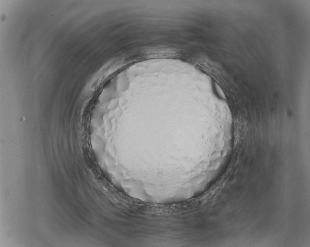 X0000079300339200612151732