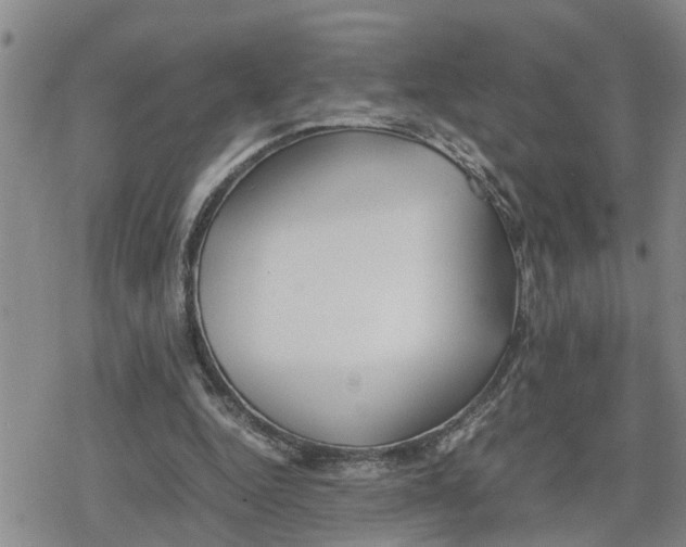 X0000079300344200612151733