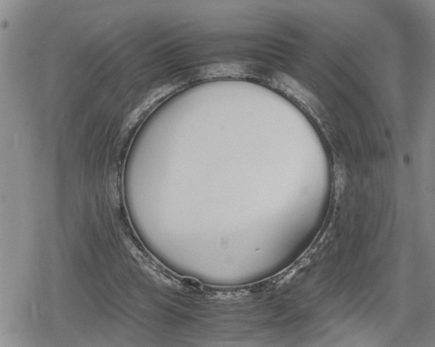 X0000079300345200612151733