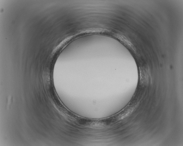 X0000079300348200612151733