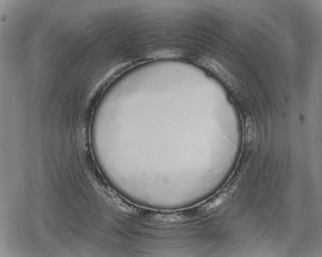 X0000079300351200612151733