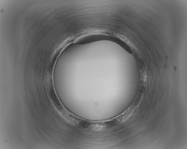 X0000079300352200612151733