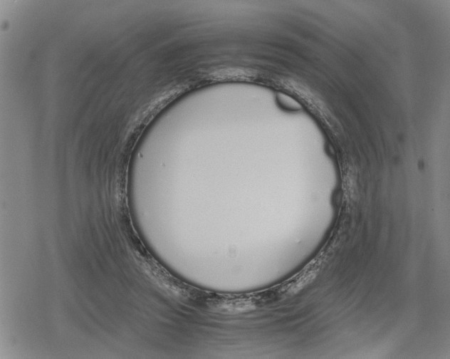 X0000079300353200612151733