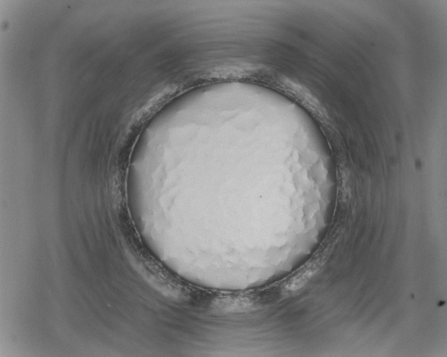 X0000079300354200612151733