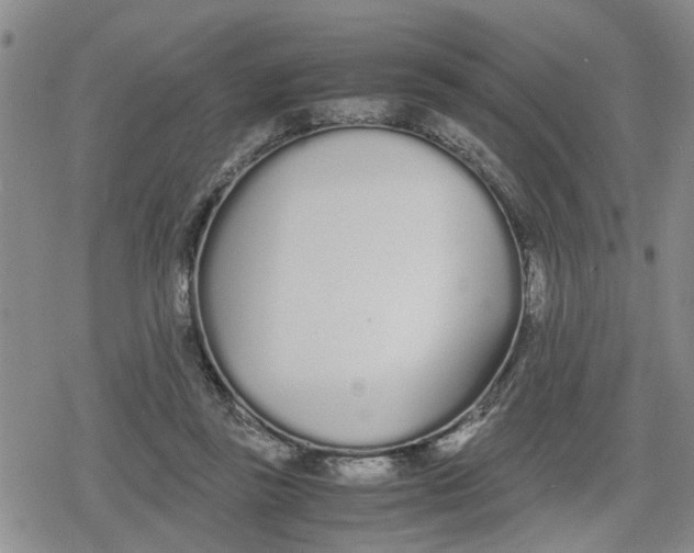 X0000079300355200612151733