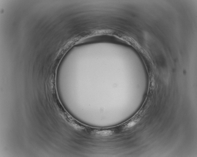 X0000079300357200612151733