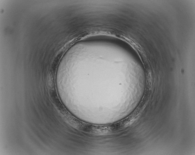 X0000079300359200612151733