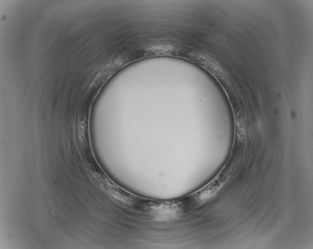 X0000079300365200612151733