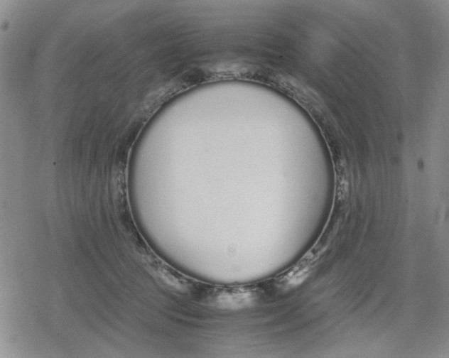 X0000079300369200612151733