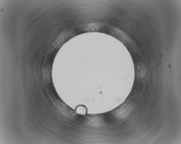 X0000079300370200612151733