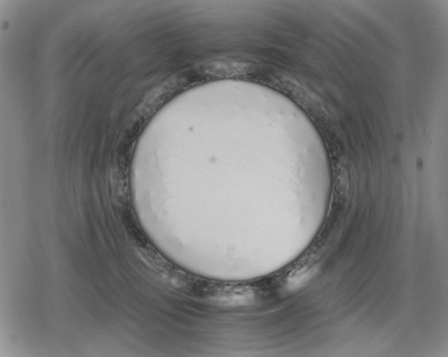 X0000079300371200612151733