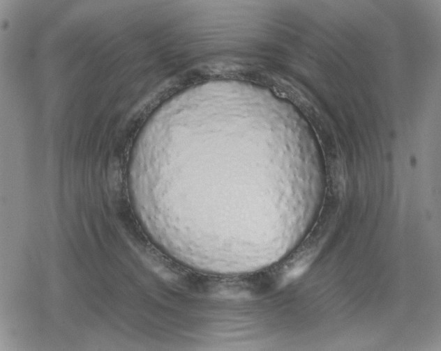 X0000079300372200612151733