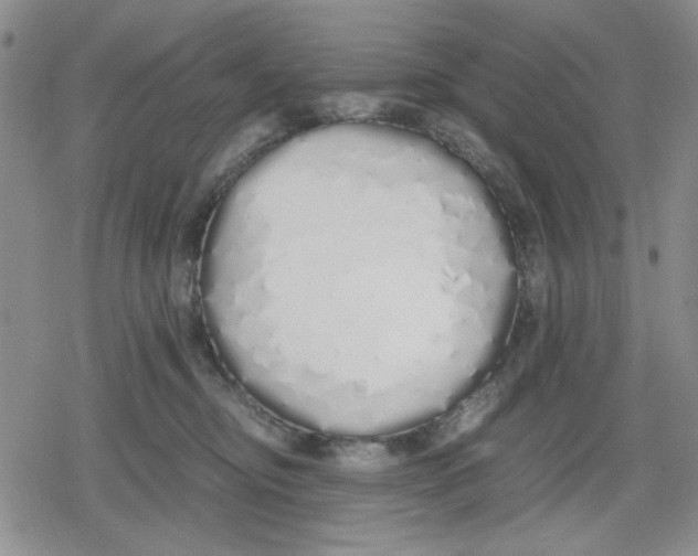 X0000079300374200612151733