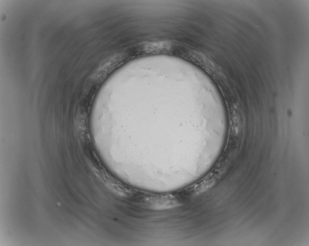 X0000079300375200612151733